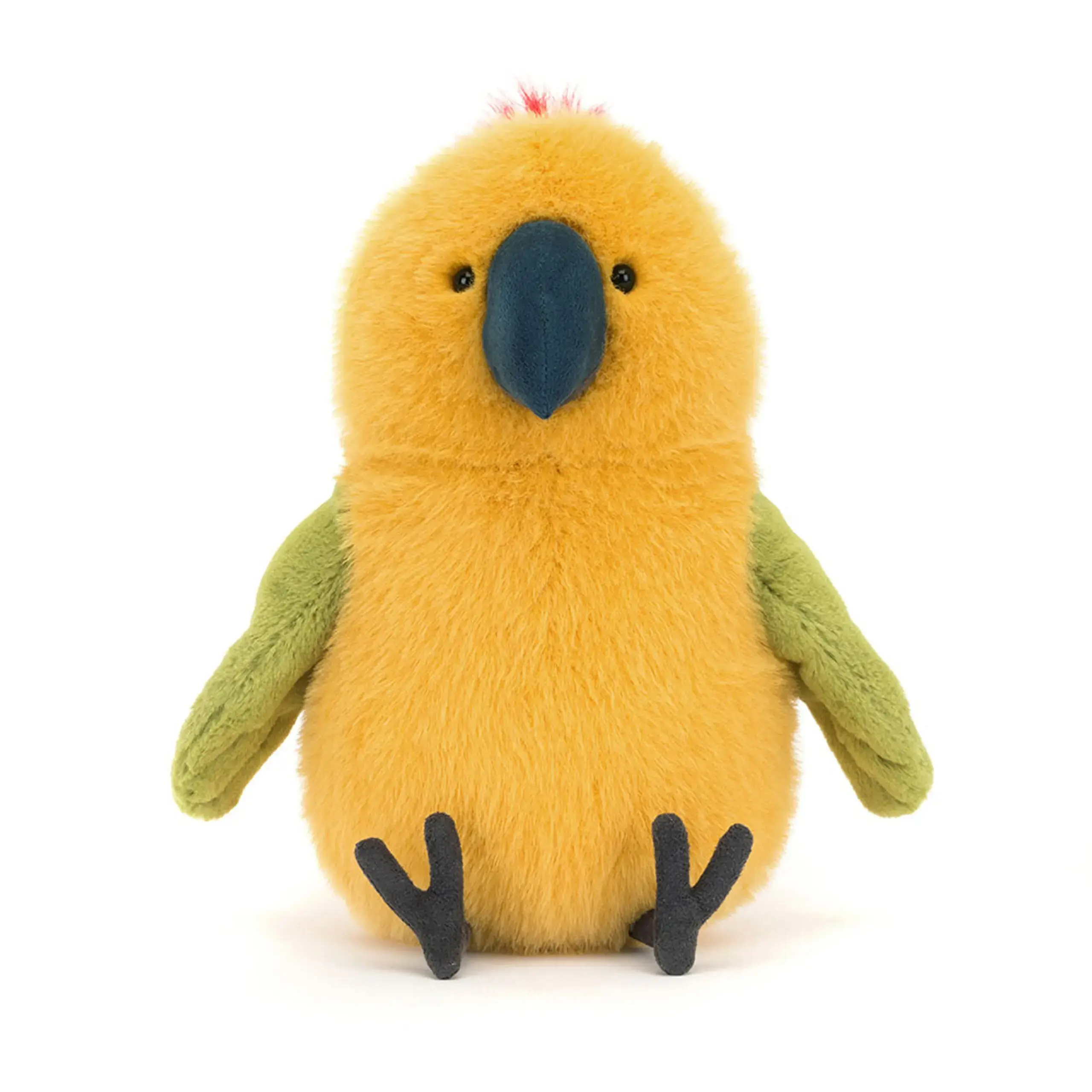 Budgeby Parrot - Image 4