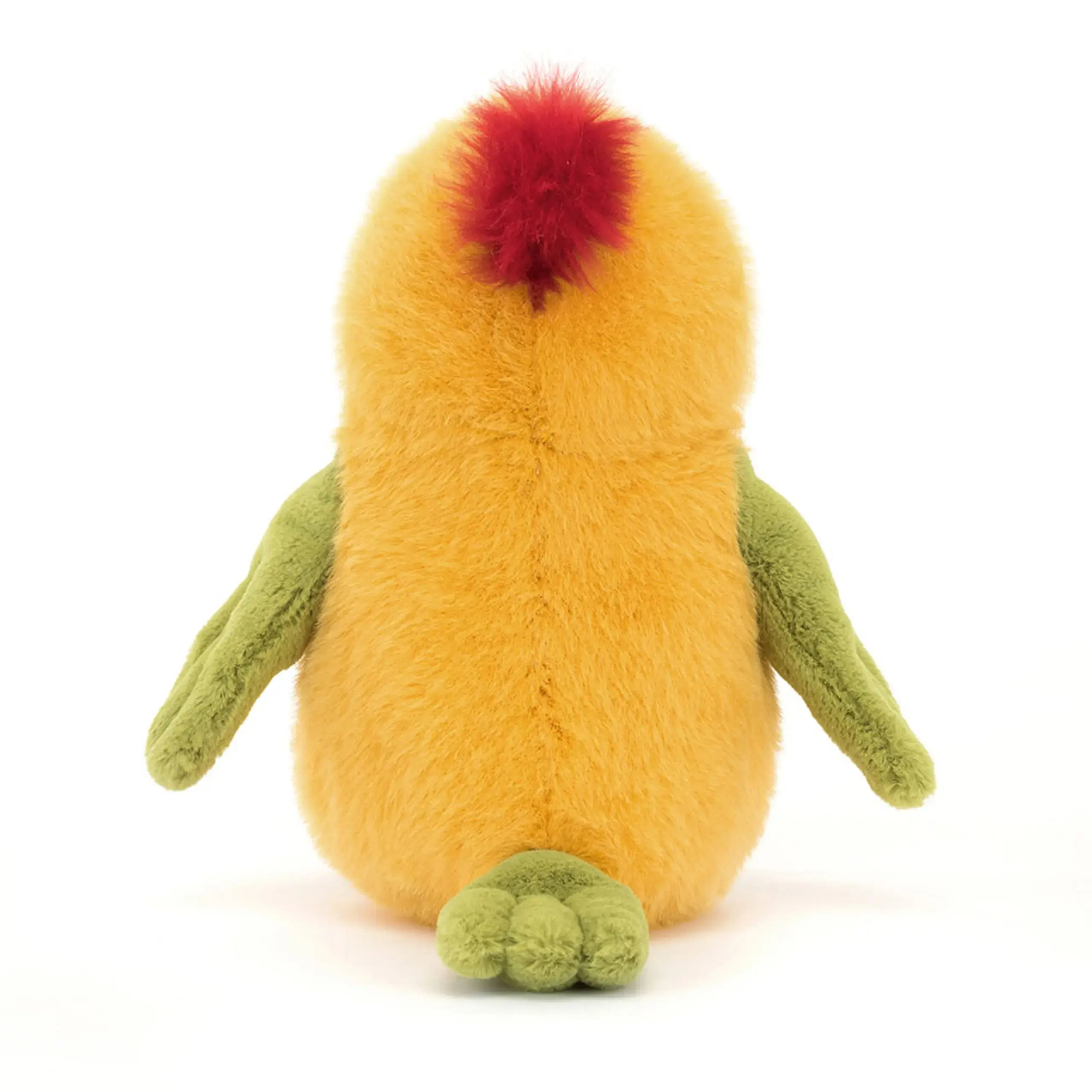 Budgeby Parrot - Image 3